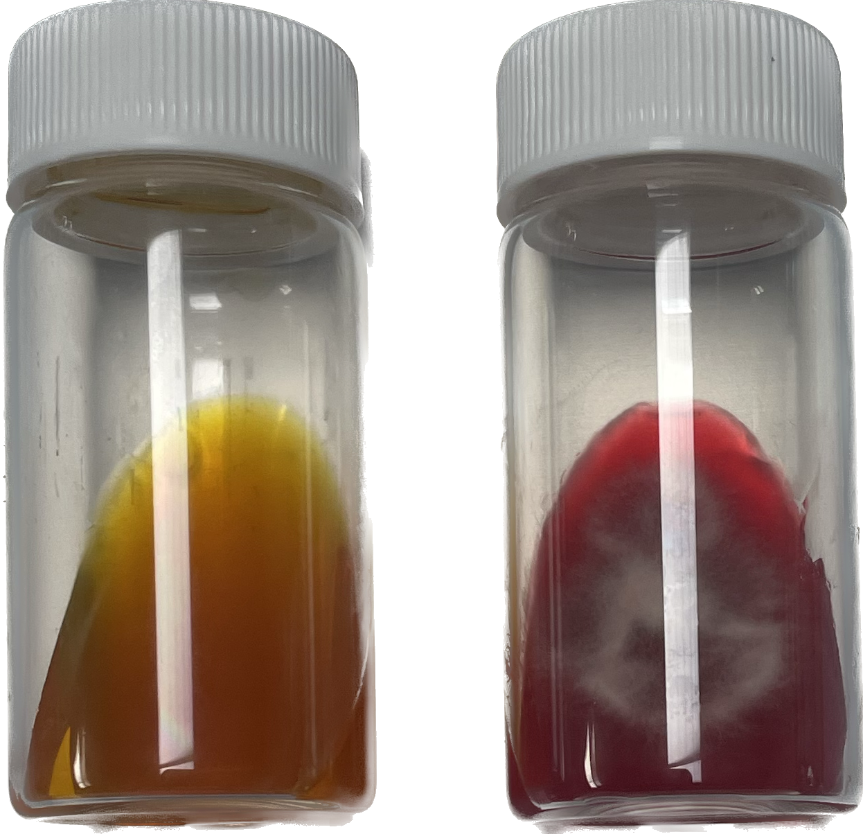 ChroMyco® Duo Dermatophyte Test System